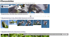 Desktop Screenshot of pflanzen-bild.de